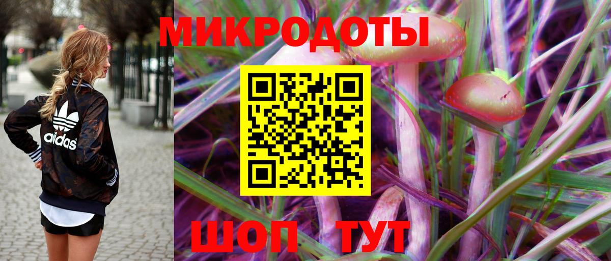 Псилоцибиновые грибы прущие грибы Норильск