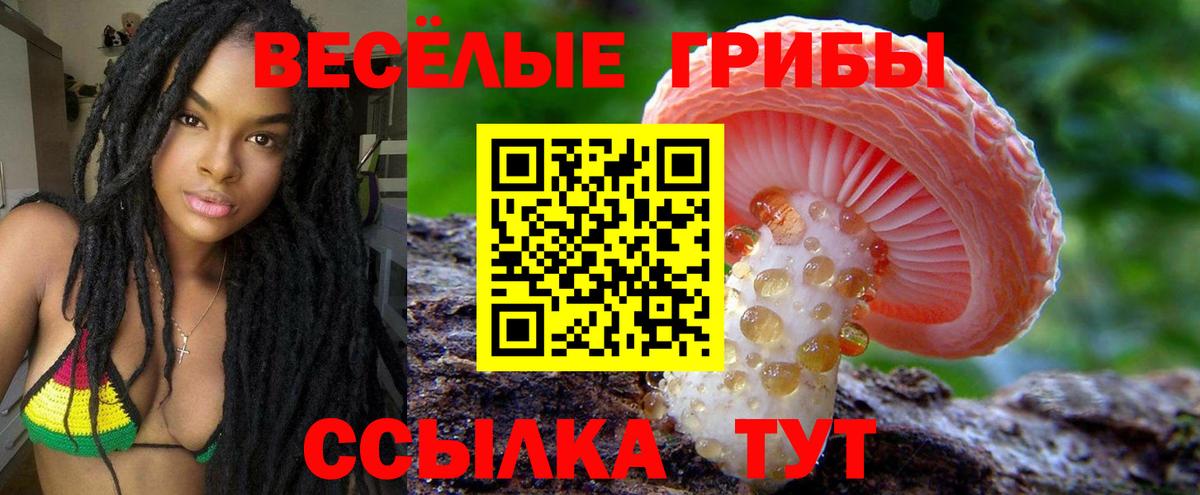 Норильск  магазин продажи   Псилоцибиновые грибы Psilocybe  Вход с VPN  Галлюциногенные грибы мицелий 
